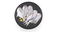 东海鲳鱼（白鲳）